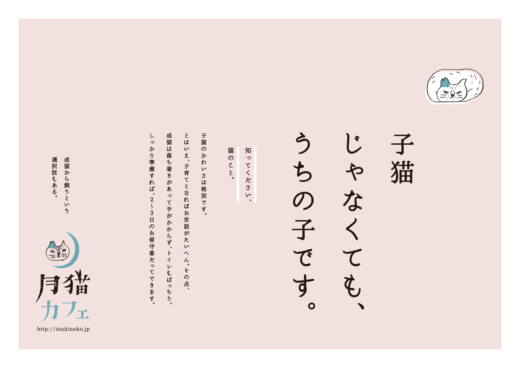 アイアンオー株式会社 | 月猫カフェ ブランディング
