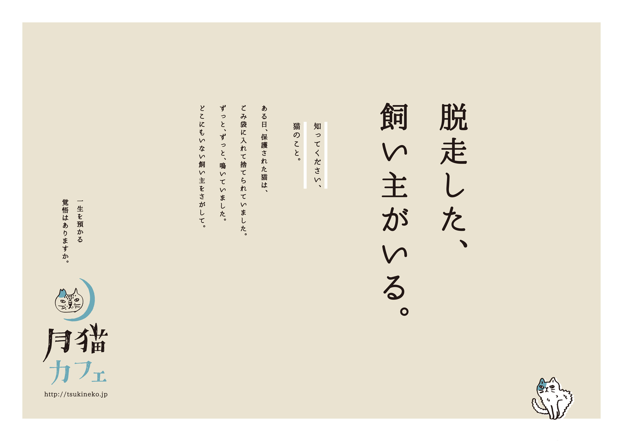 アイアンオー株式会社 | 月猫カフェ ブランディング