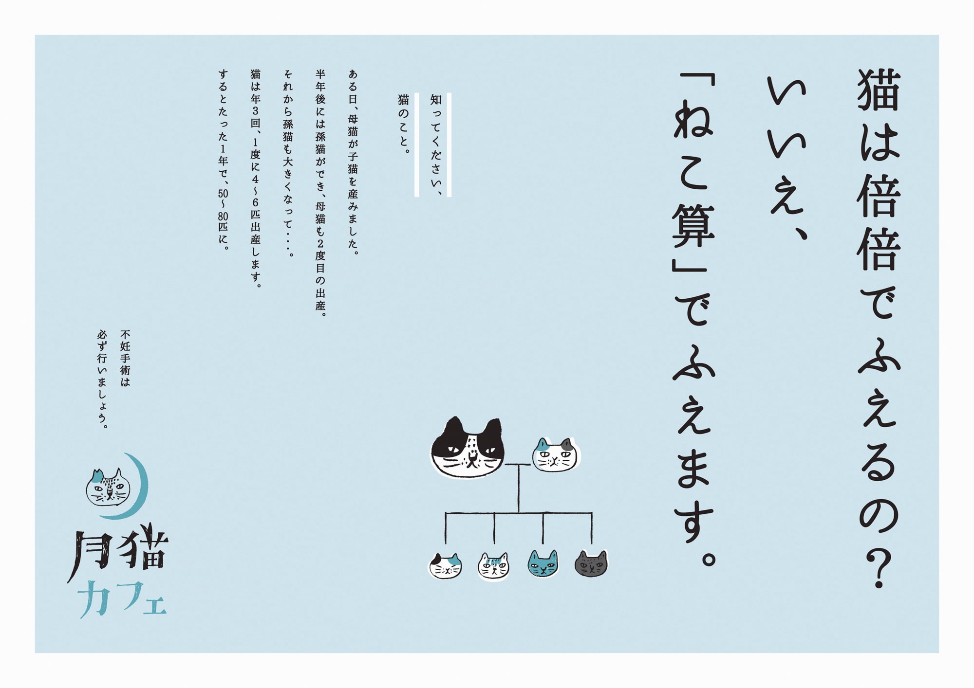 main_月猫_2017_02-1.jpg