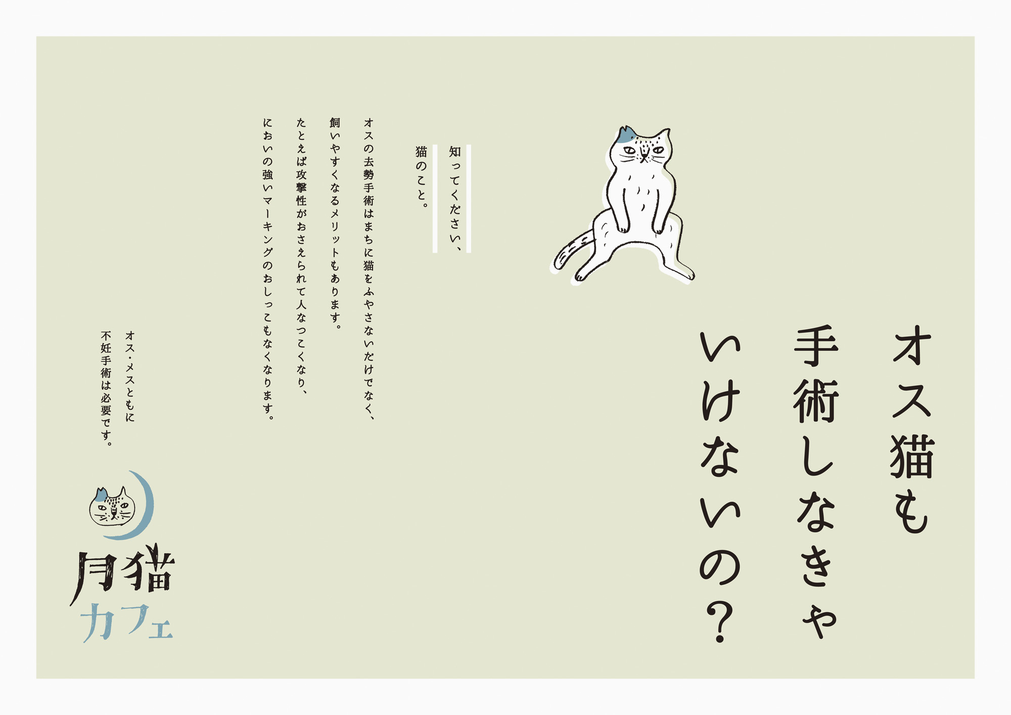 アイアンオー株式会社 | 月猫カフェ ブランディング