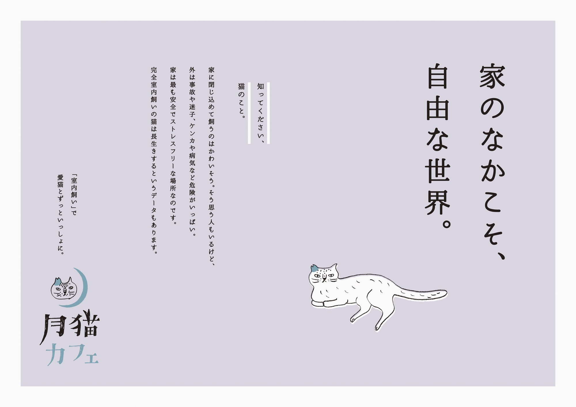 main_月猫_2017_05.jpg